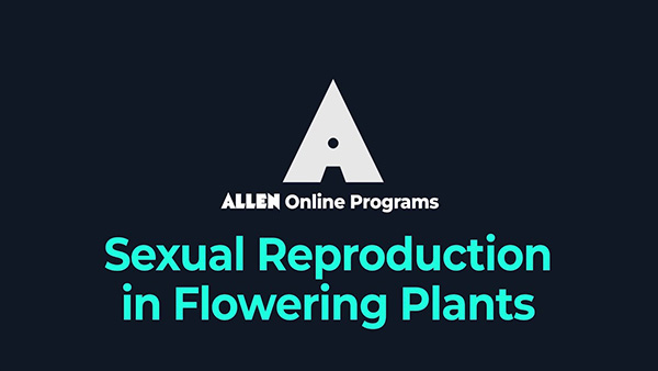 Sexual Reproduction in Flowering Plants